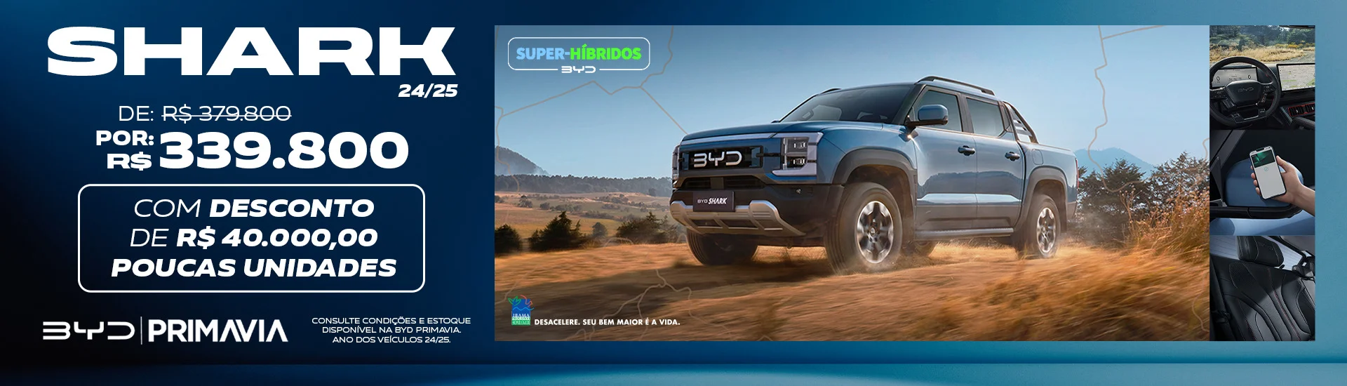 shark  - DESKTOP MARCO shark  - DESKTOP MARCO